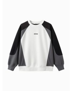 Kids Boy Round neck sweatshirt