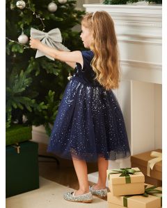 Kids Girl Party wear One-Piece Dress - Blue Hue - 3-4Y