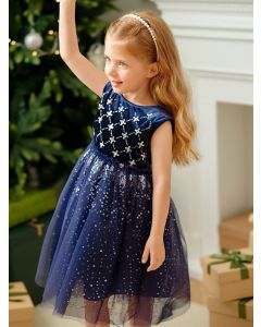 Kids Girl Party wear One-Piece Dress - Blue Hue - 4-5Y