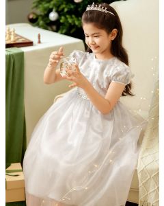 Kids Girl Party wear One-Piece Dress