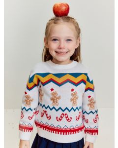 Kids Unisex Round neck sweater