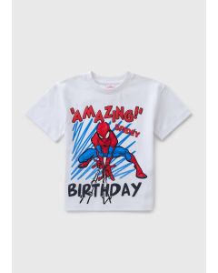 Spiderman Birthday T-Shirt