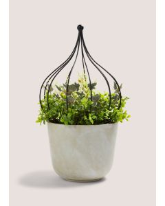 Arrangement in Cement Pot (10cm x 10cm x 10cm)-Green