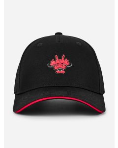 Kids Boy Contrasting Colors Dragon Element Baseball cap