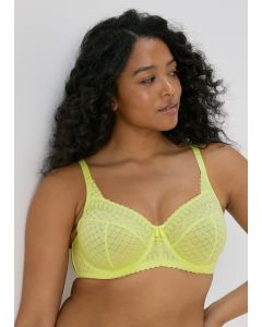 Stretch DD Lace Bra