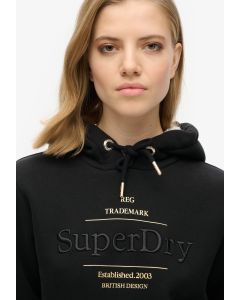 Luxe Metallic Logo Hoodie